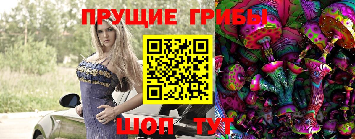 Псилоцибиновые грибы GOLDEN TEACHER Алапаевск